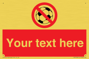 Custom No Ball Games Sign